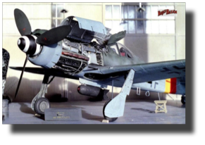 Focke Wulf Fw190 D. Scratch built in metal by Rojas Bazán. 1:15 scale. Focke Wulf Fw190 D. Scratch built in metal by Rojas Bazán. 1:15 scale.